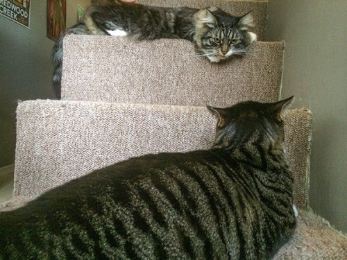 Henry, Thomas on stairs
